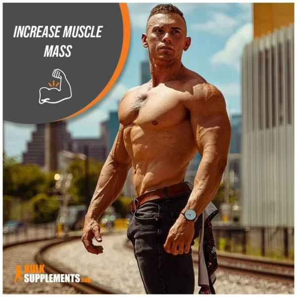 Креатин от Bulk Supplements (250гр)
